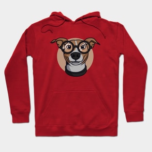 Cute dog with glasses Hoodie